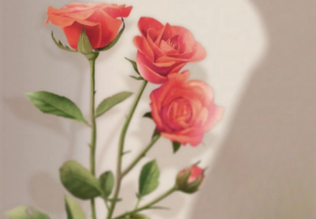 祝天下女神們節(jié)日快樂！??！